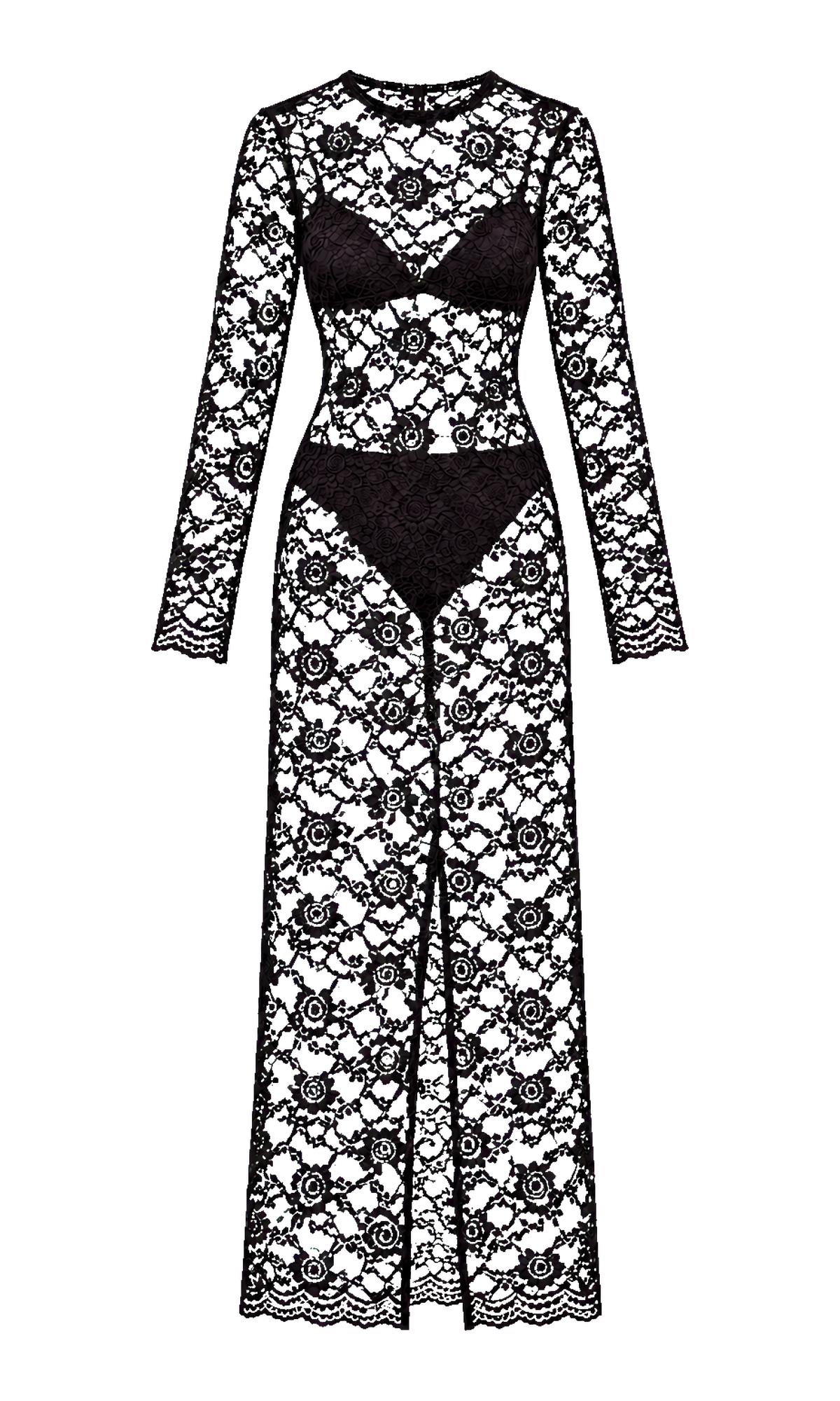 Sheer Floral Lace Long-Sleeve Dress