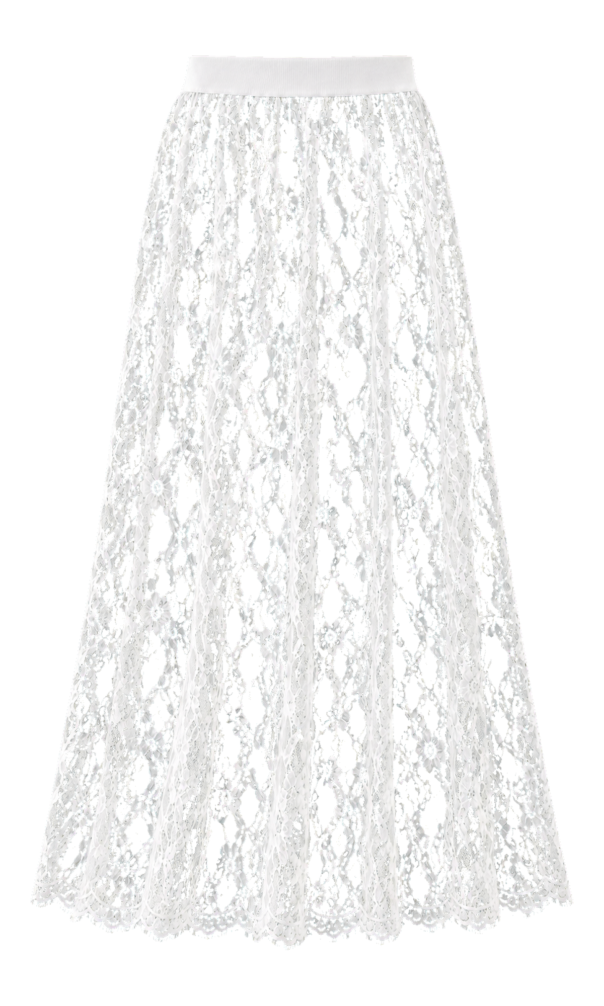 Sheer Lace Maxi Skirt