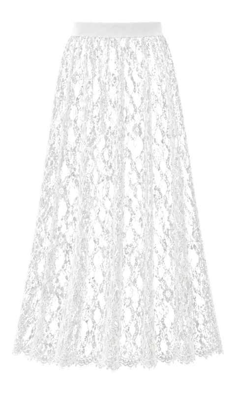 Sheer Lace Maxi Skirt