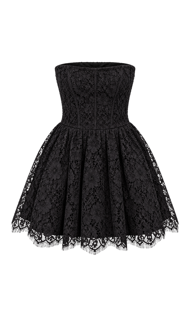 Strapless Lace Mini Dress, Black
