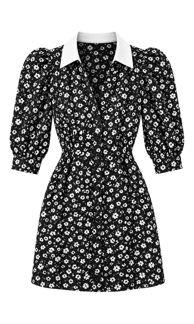 Floral Mini Shirt Dress with Contrast Collar, Black Floral